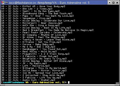 CDDB-Mp3-Renamer.xterm3